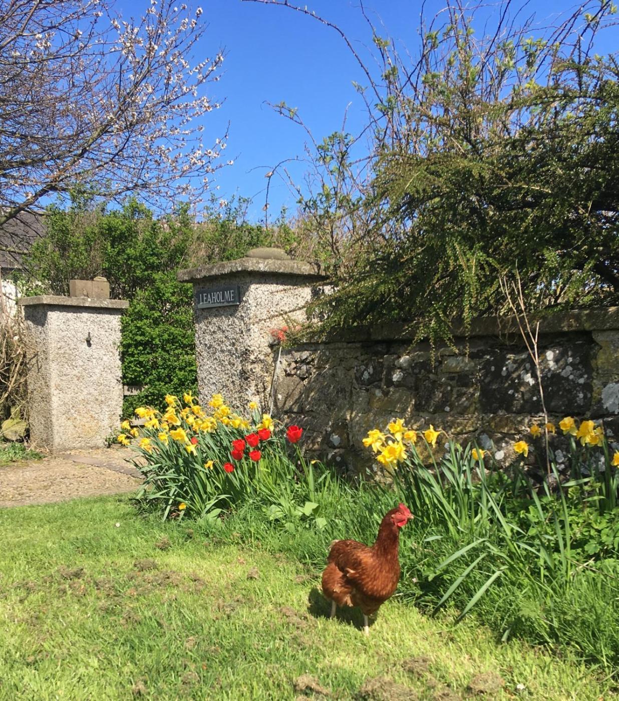 Leaholme Cottage - Fabulous Coastal Cottage For 8 Newton by the Sea Exterior foto